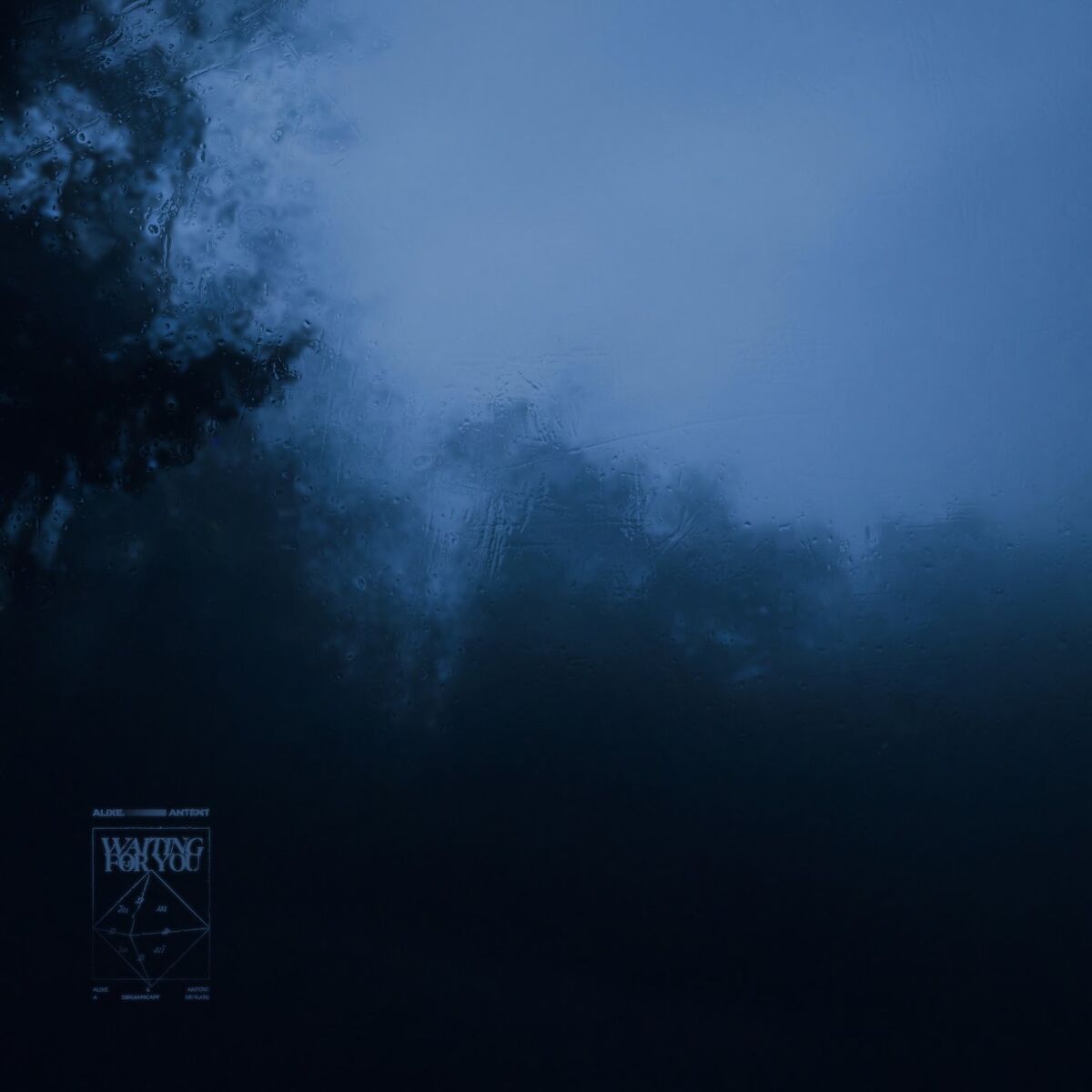 Album cover of waiting for you