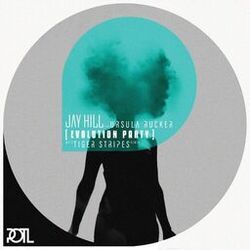 Cover of Evolution Party