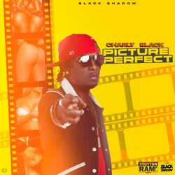 Cover of Picture Perfect