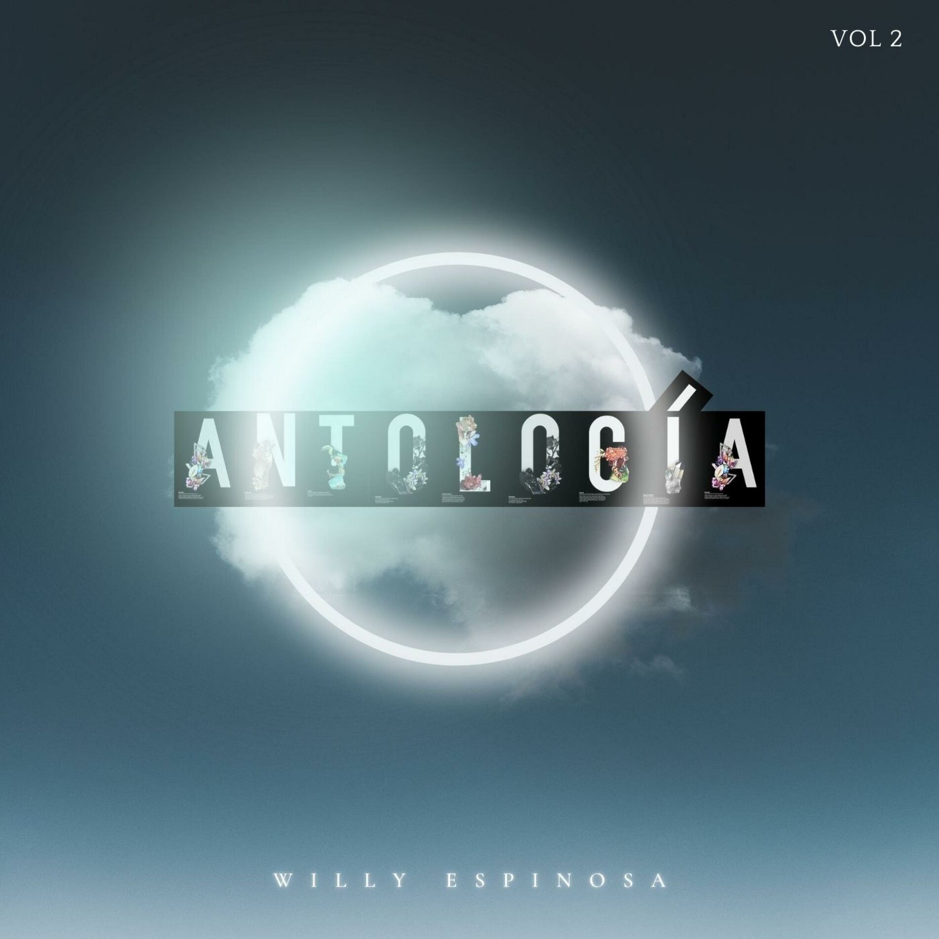 Album cover of Antología Vol 2