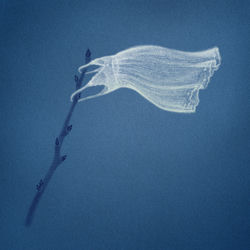 Capa de White Flag