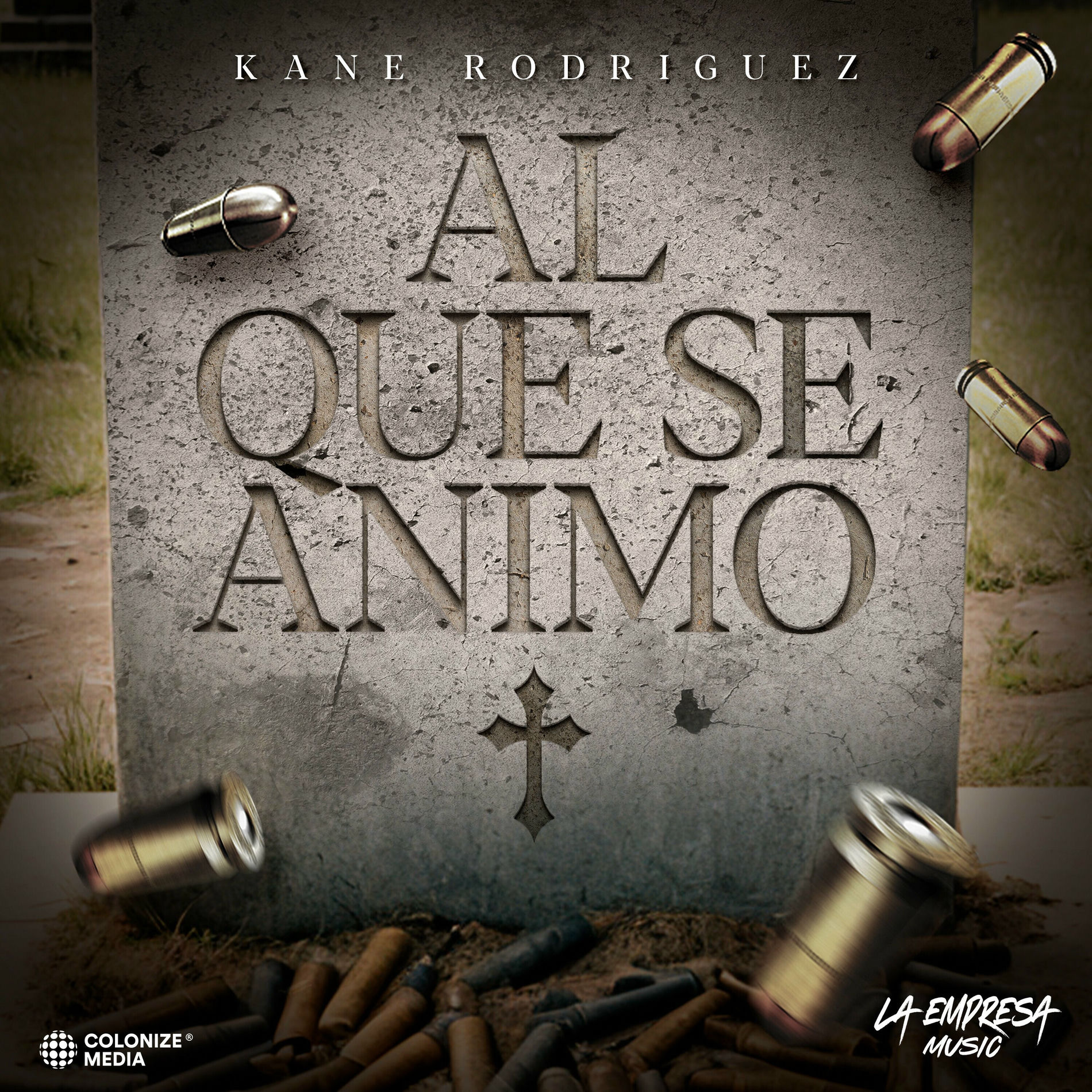 Album picture of AL QUE SE ANIMO