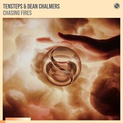 Cover of Chasing Fires