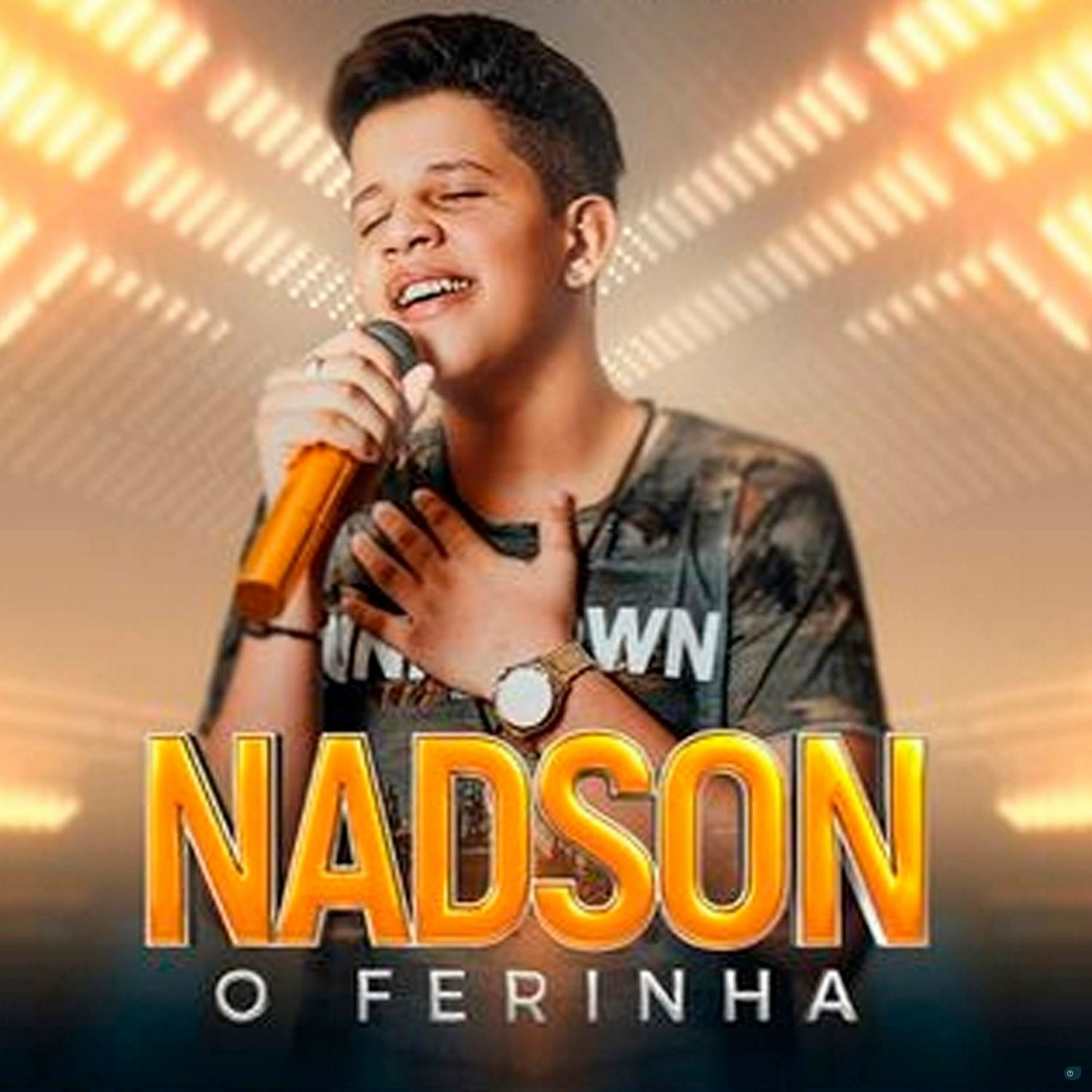 Album cover of Nadson O Ferinha