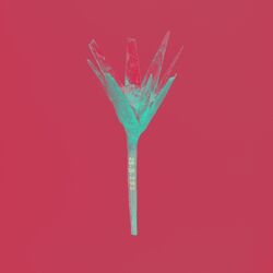 Flores Raras (Terra Treme Remix)