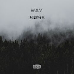 Cover of Way Home
