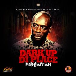 Cover of Dark up di place