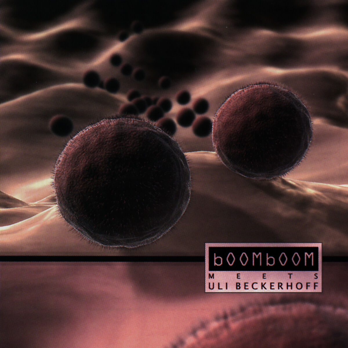Album cover of Ressurection Lounge