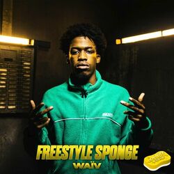 Cover of Freestyle Sponge