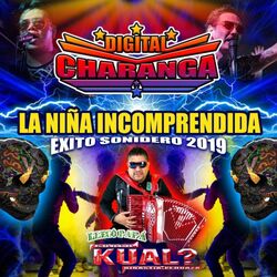 Cover of Niña Incomprendida