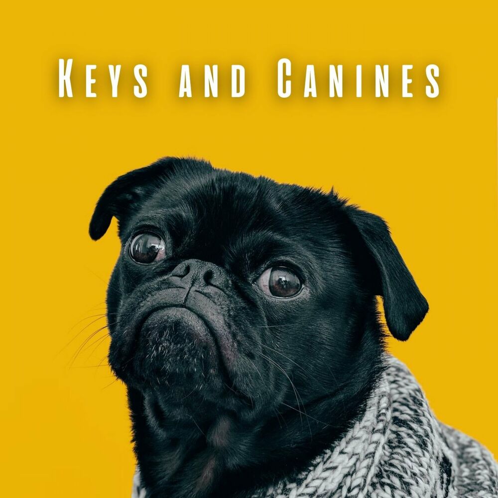 Picture of Keys and Canines: Harmonies with Piano and Dogs