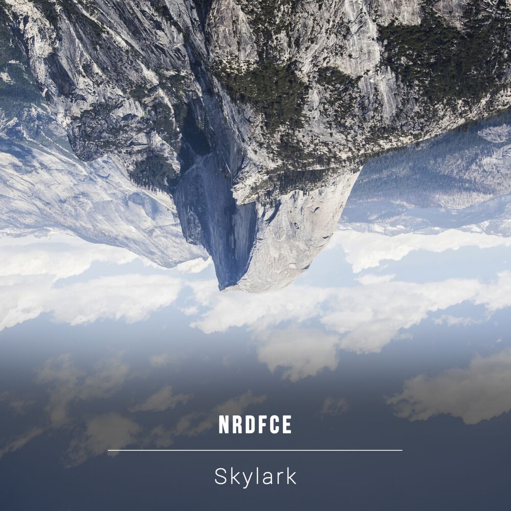 Picture of Skylark