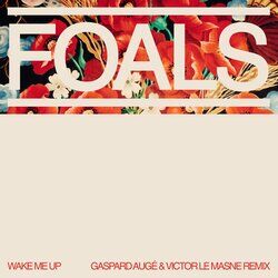 Cover of Wake Me Up (Gaspard Augé and Victor Le Masne Remix)