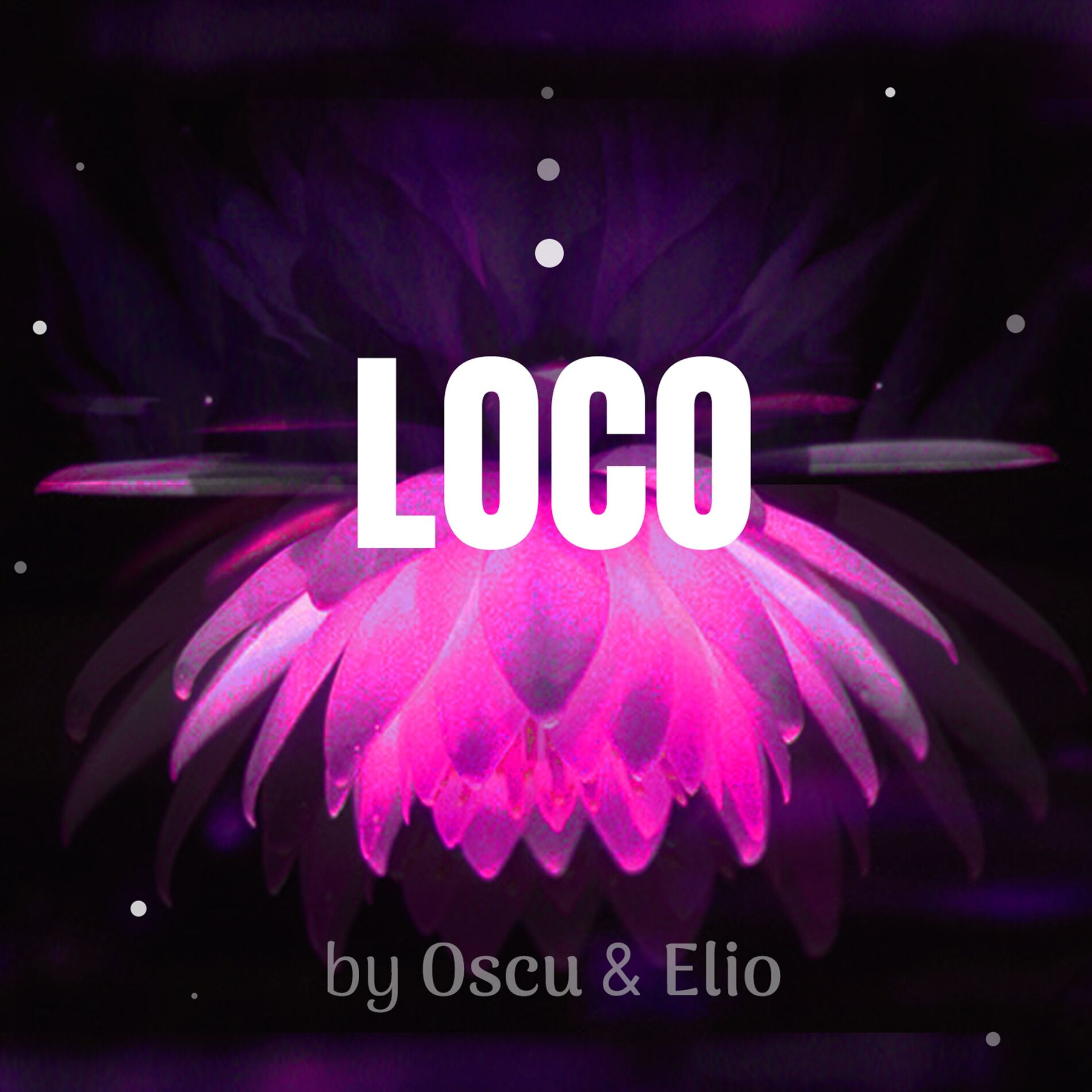 Album cover of Loco