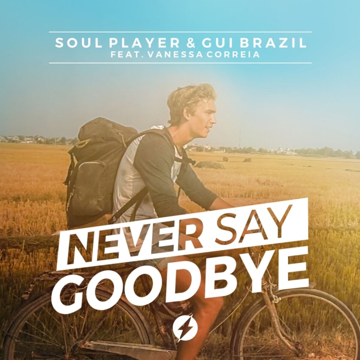 Album cover of Never Say Goodbye