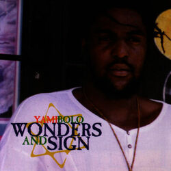 Cover of Wonders & Sign