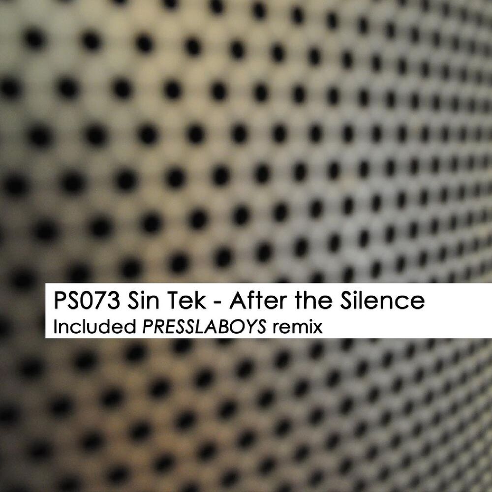 Picture of After the Silence