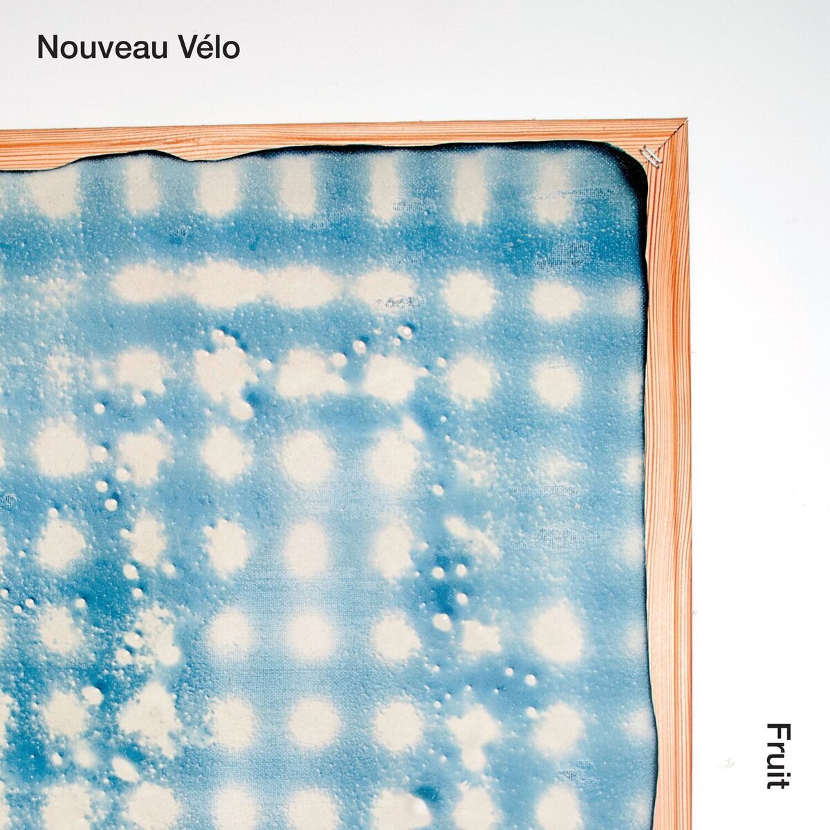 Album cover of Fruit