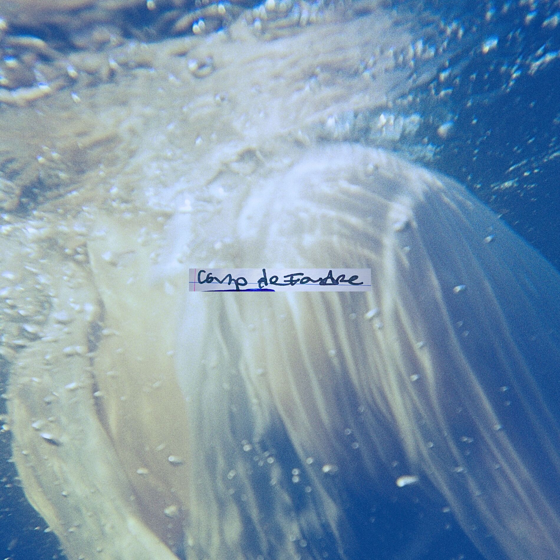 Album cover of Coup de foudre