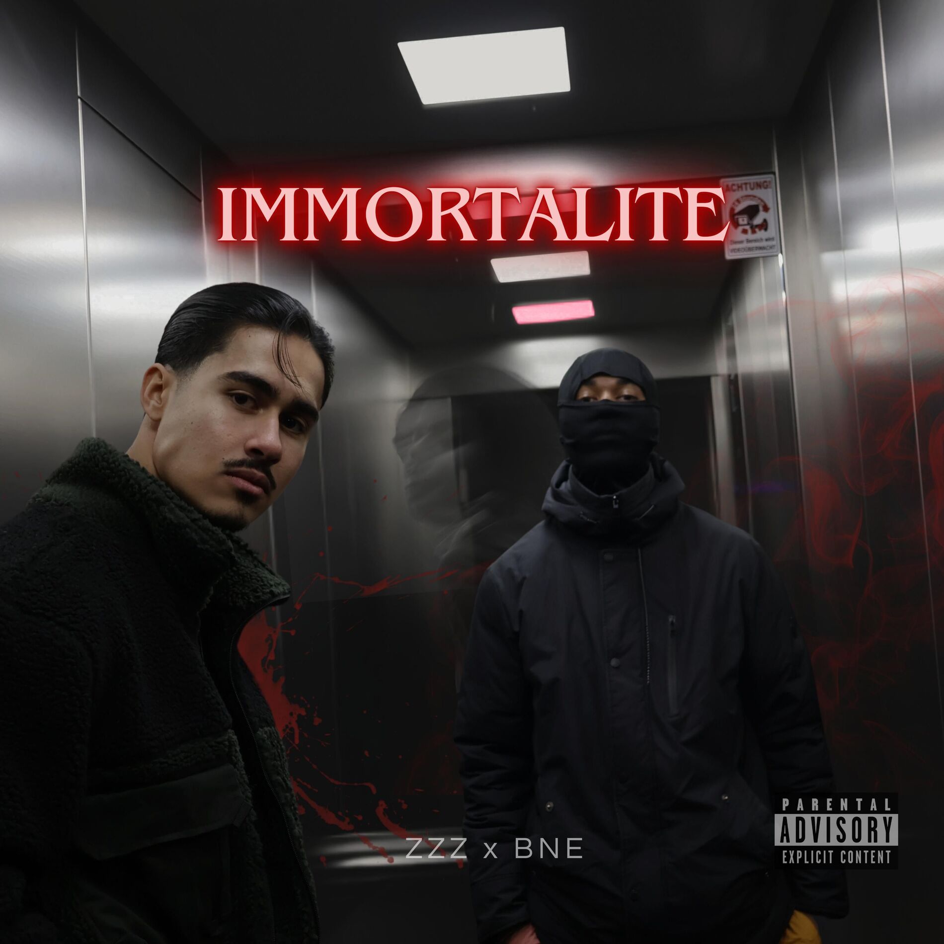 Album cover of Immortalité (feat. BNE)