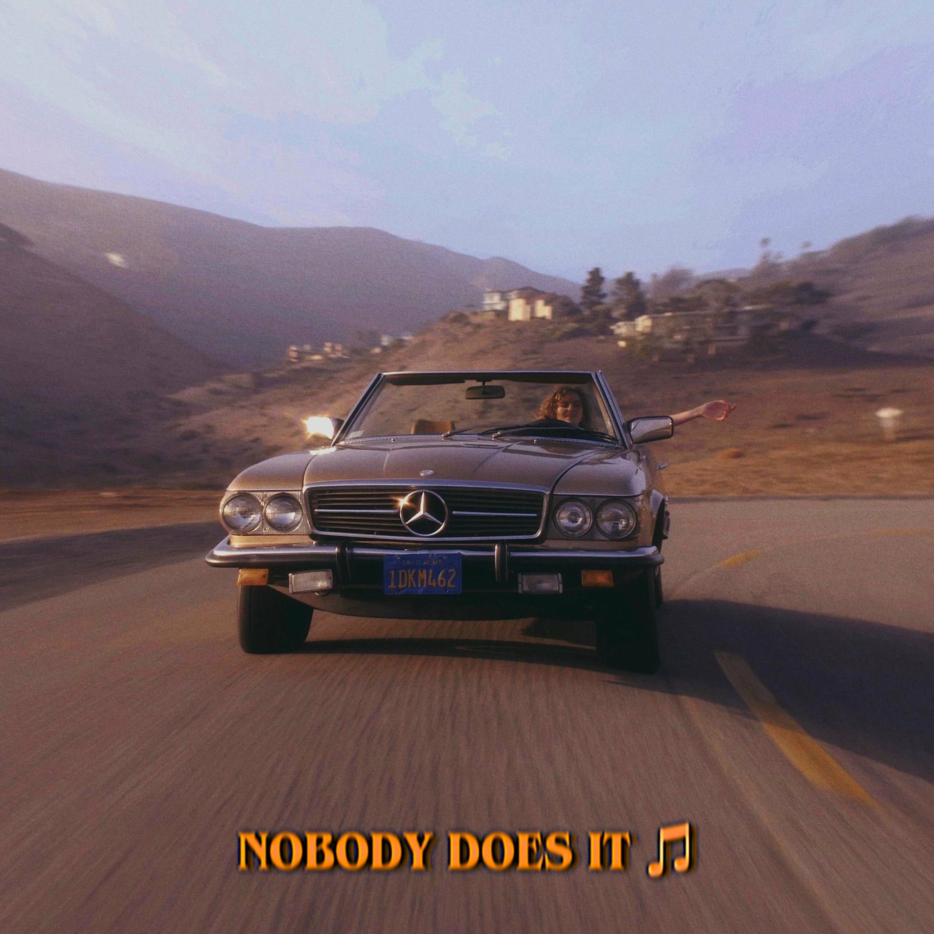 Album cover of Nobody Does It
