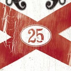 Cover of Livin' Lovin' Rockin' Rollin': The 25th Anniversary Collection