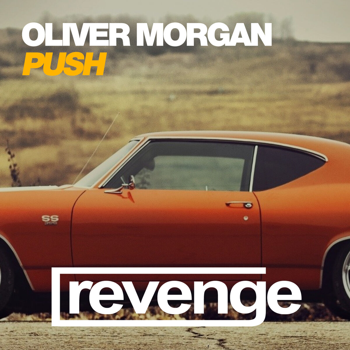 Album cover of Push