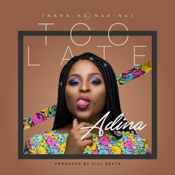 Cover of Too Late