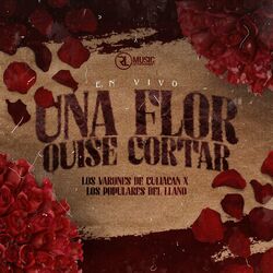 Cover of Una flor quise cortar (En Vivo)