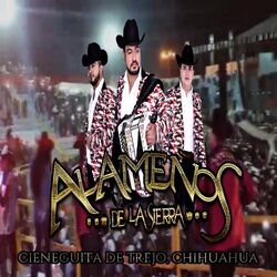 Cover of Desde Cieneguita De Trejo, Chihuahua.