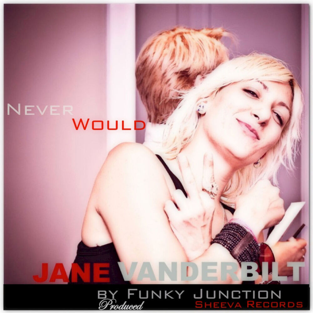 Picture of Never Would (Remixes)