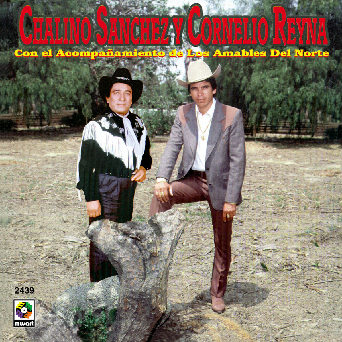 Album cover of Nieves De Enero