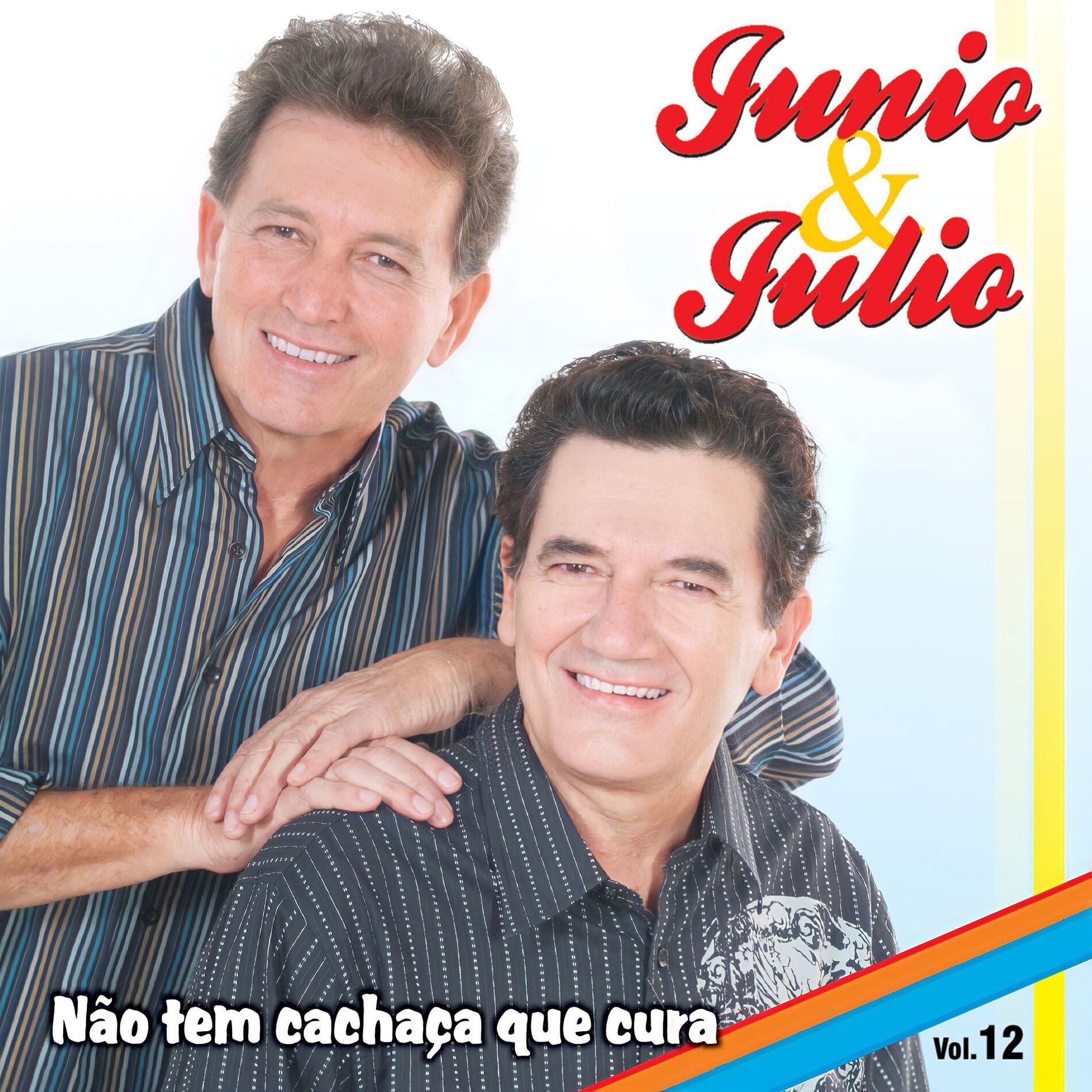 Album cover of Não Tem Cachaça Que Cura, Vol. 12