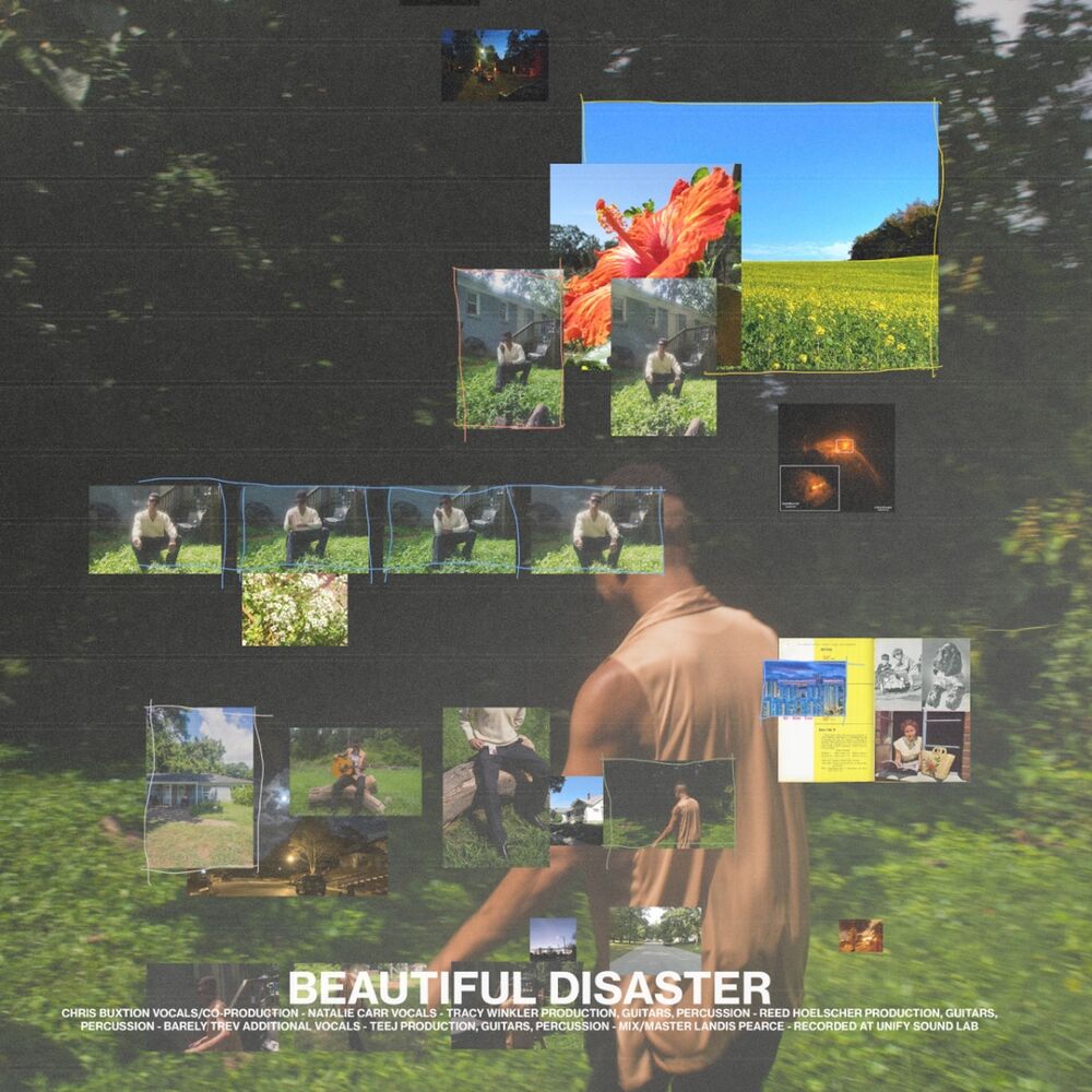 Picture of BEAUTIFUL DISASTER