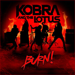 Cover of Burn!