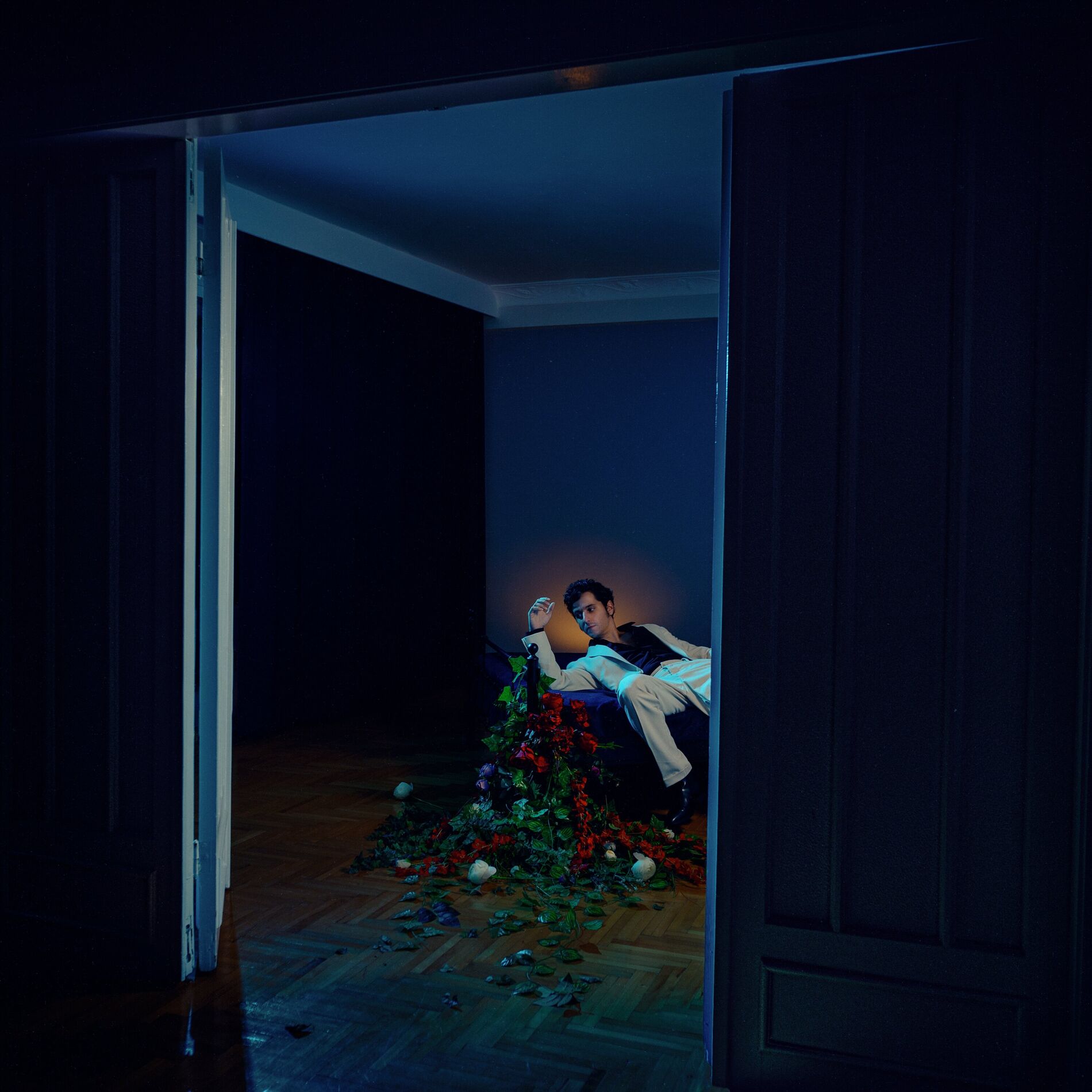Album cover of Aniden