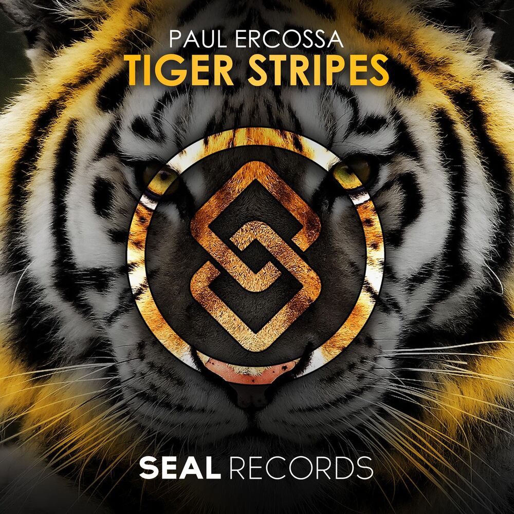 Picture of Tiger Stripes