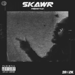 Cover of Skawr (Freestyle)