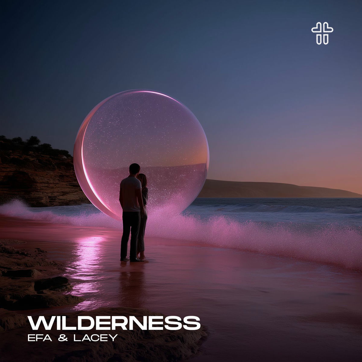 Album cover of Wilderness