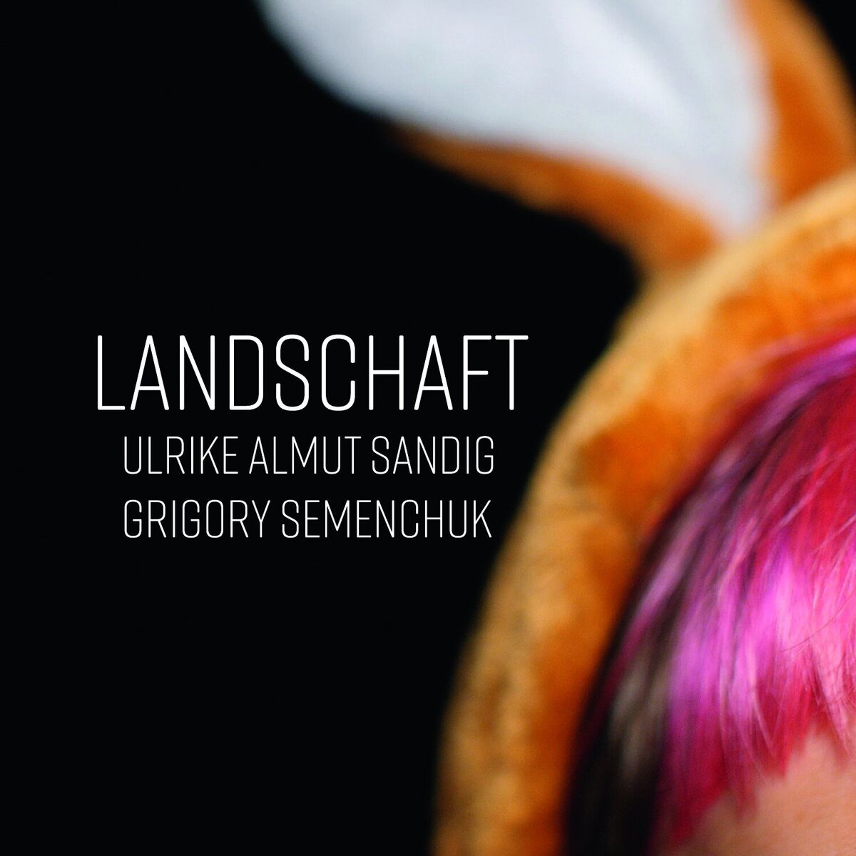 Album cover of Landschaft