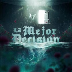 Cover of La Mejor Decisión