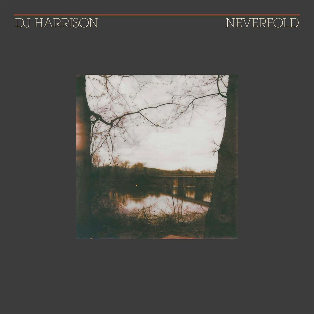 Pochette du titre NeverFold