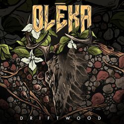 Cover of Driftwood