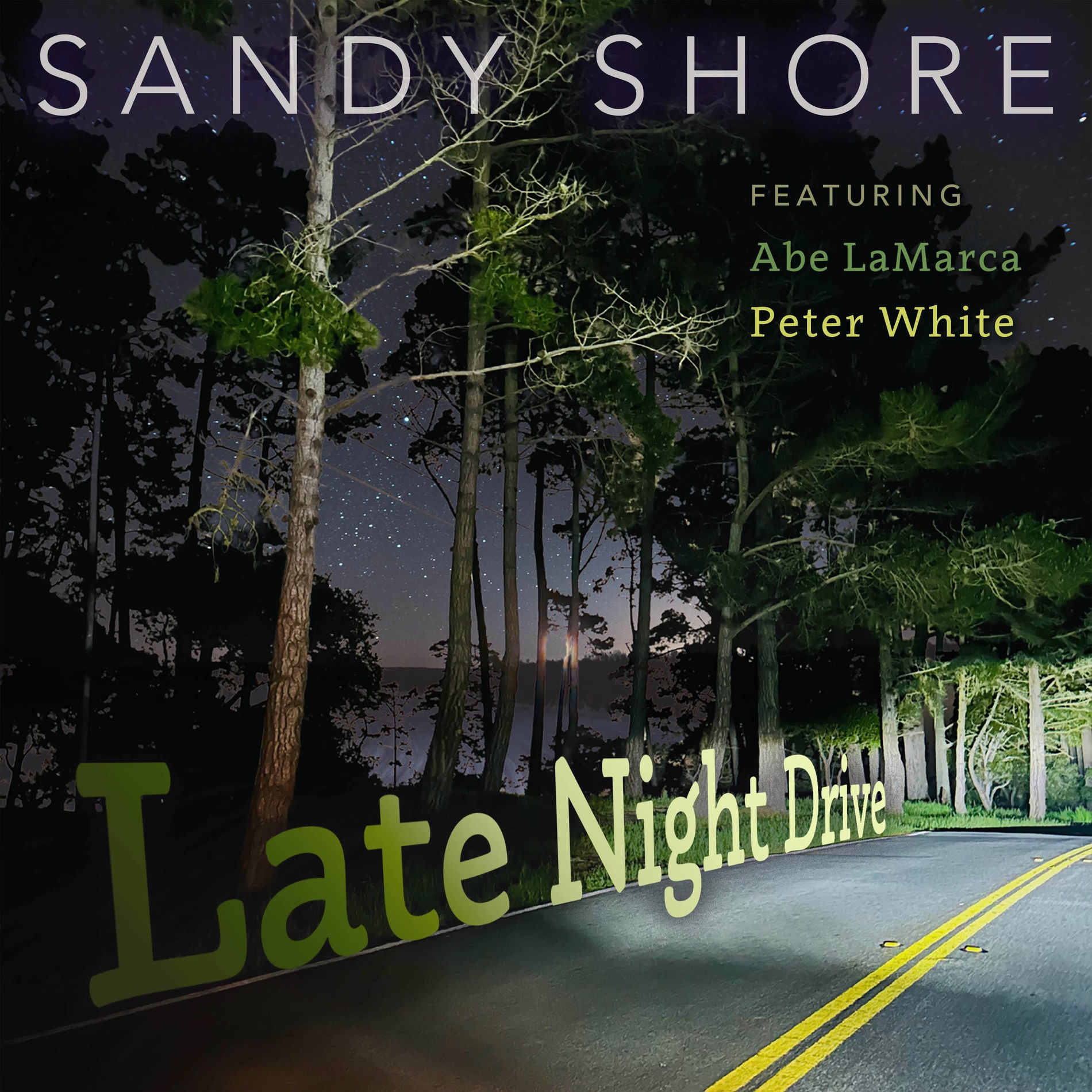 Album cover of Late Night Drive