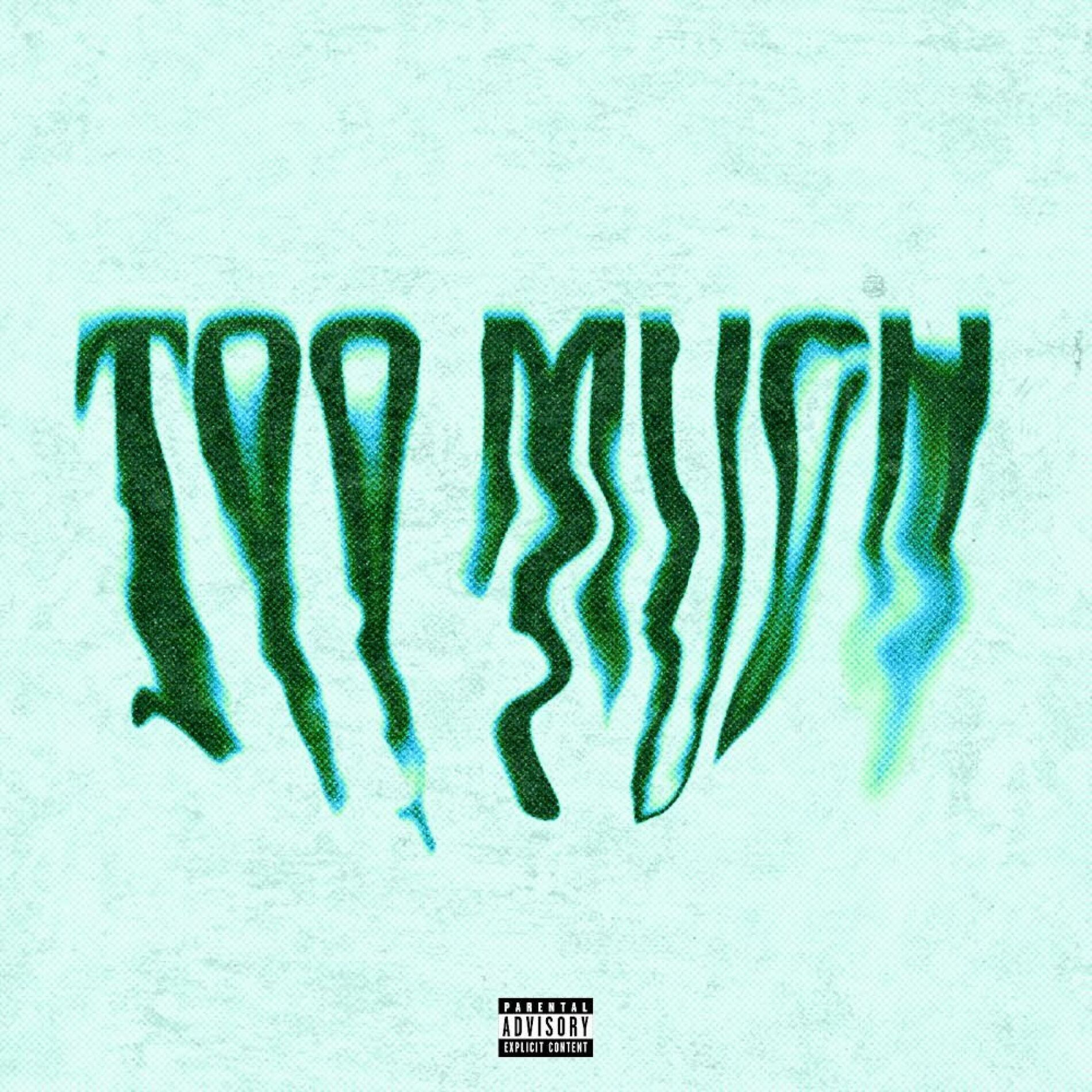 Album cover of Too Much (feat. SYLO)