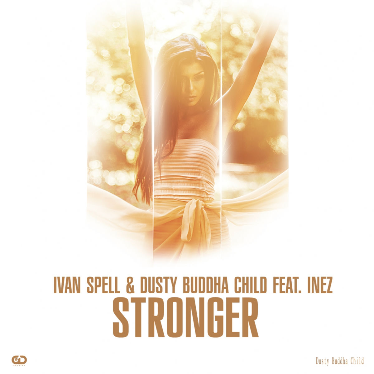 Album cover of Stronger