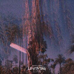 Cover of Levitating