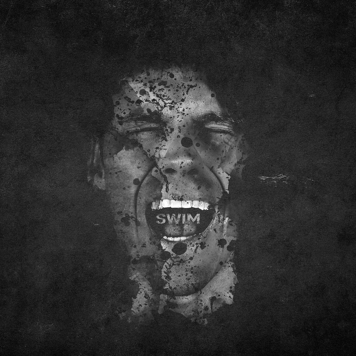 Album cover of Swim