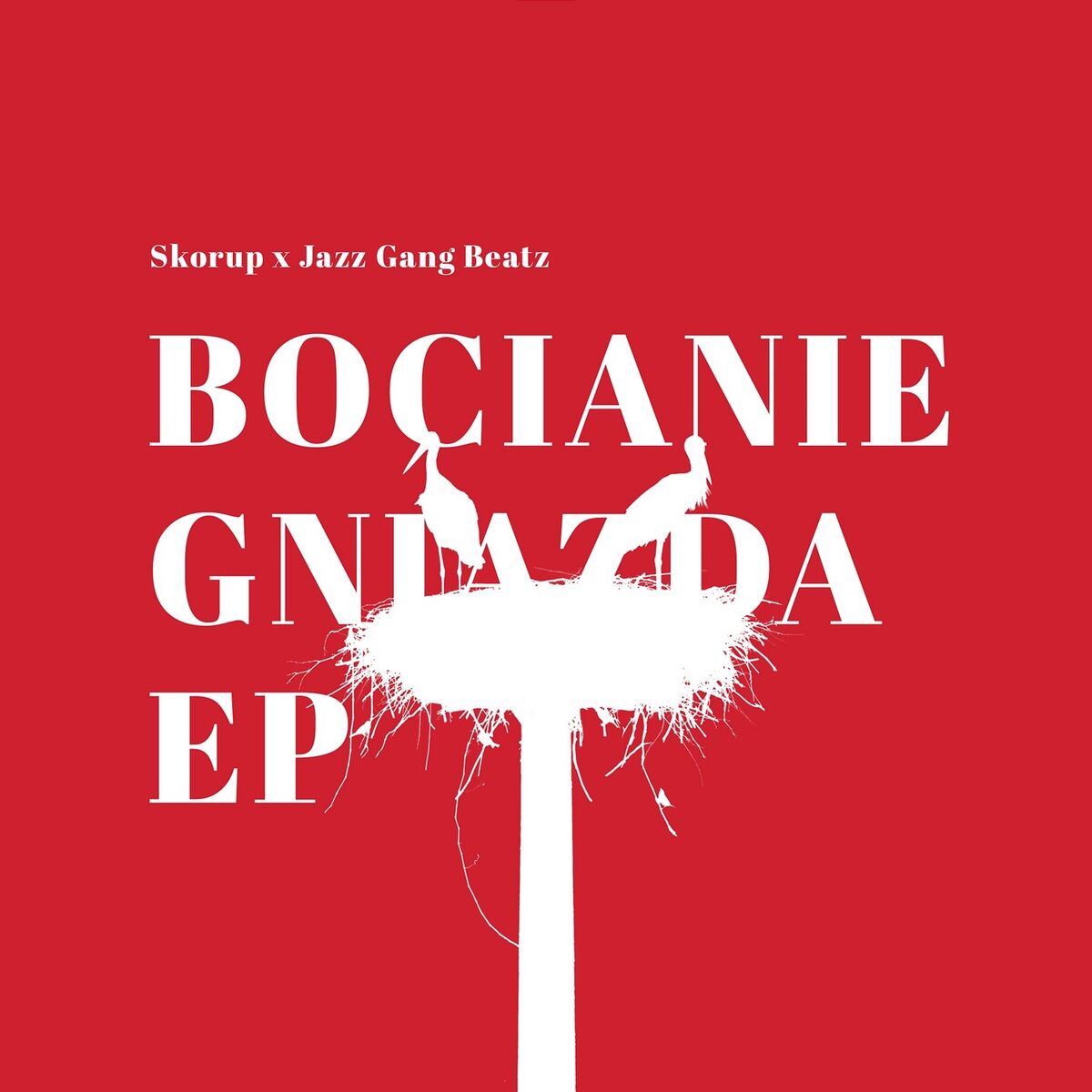 Album cover of Bocianie Gniazda EP