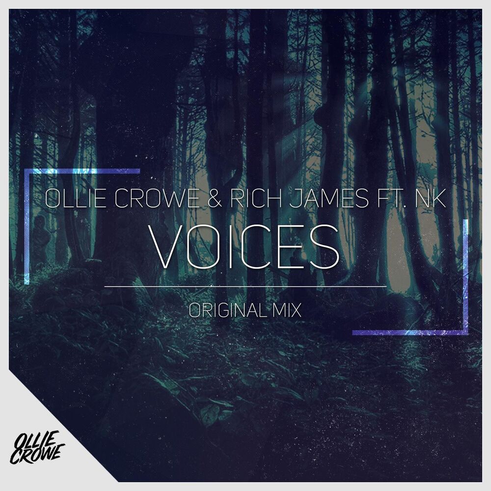 Picture of Voices (feat. NK)